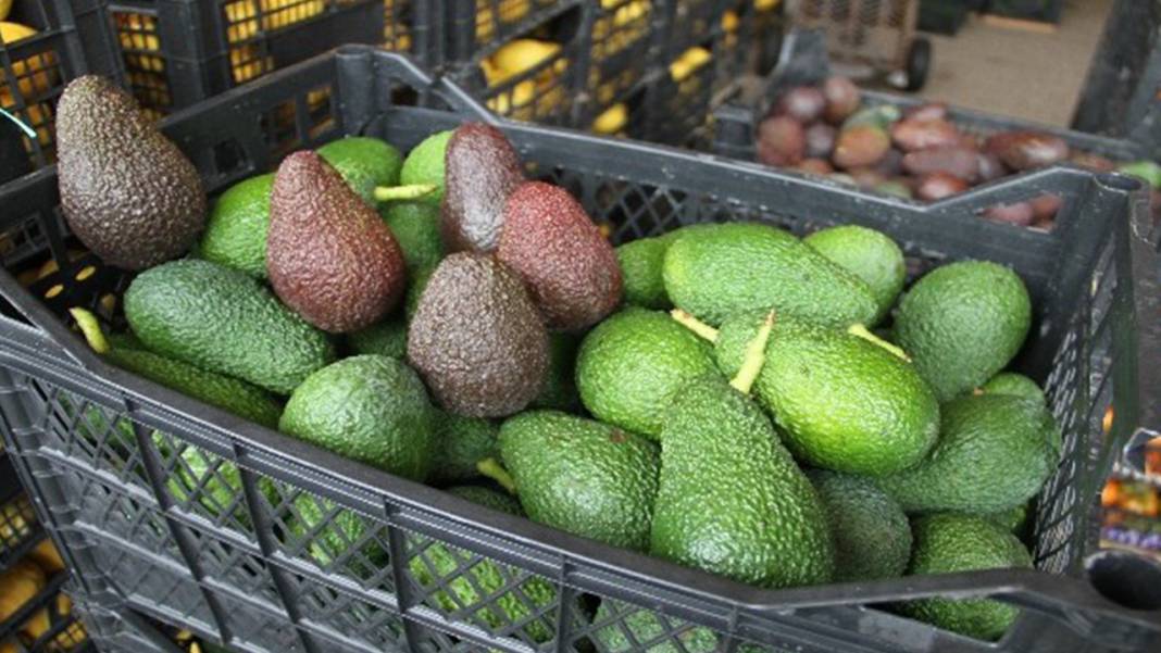 Enerjik bir oruç için sahur rehberi: Sahurda ne yenir, ne yenmez? 12